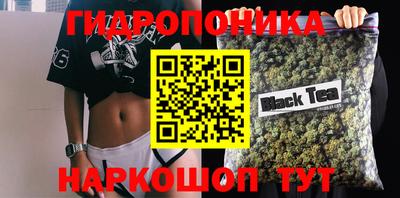 ПСИЛОЦИБИНОВЫЕ ГРИБЫ Абакан