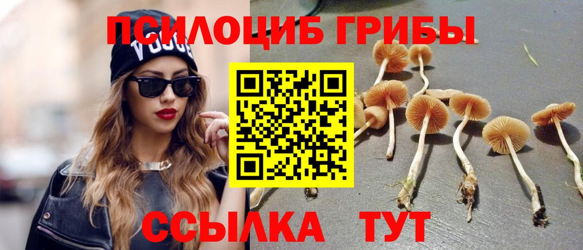 Абакан  Галлюциногенные грибы Cubensis  Псилоцибиновые грибы мухоморы  Вход с VPN 